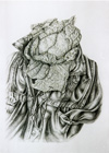 Kohl-Illustration